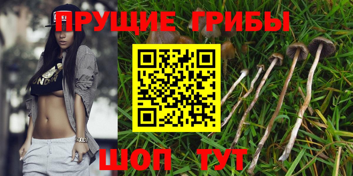 Галлюциногенные грибы ЛСД Симферополь