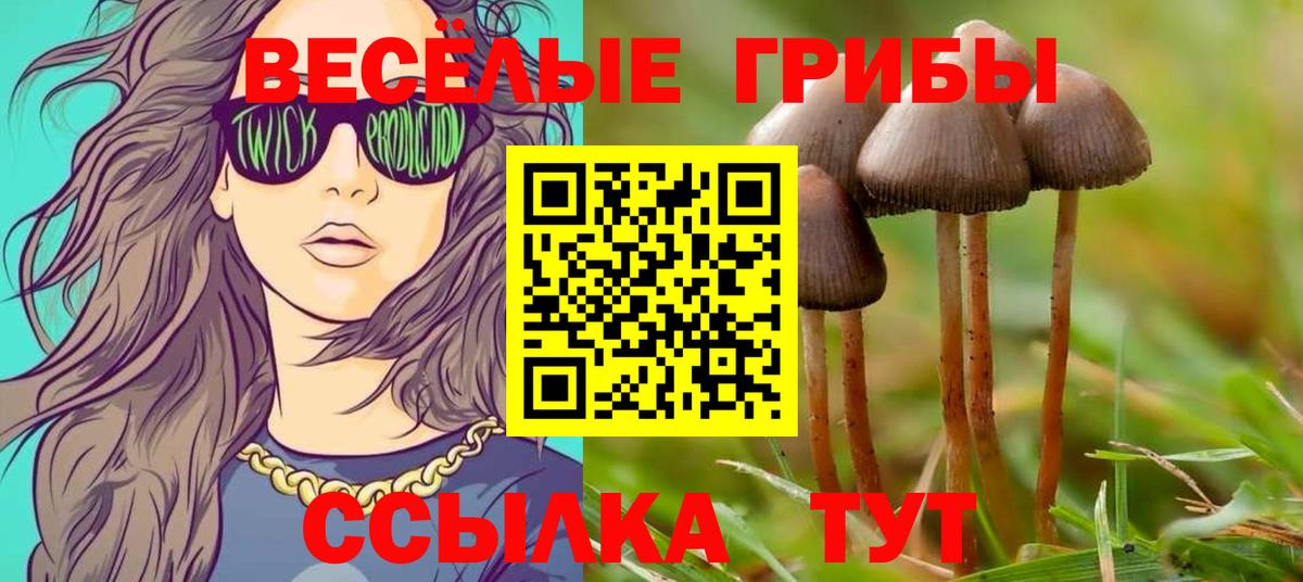 Псилоцибиновые грибы прущие грибы  Псилоцибиновые грибы мицелий  Симферополь  Вход с VPN 